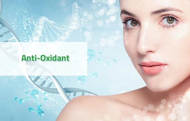 Antioxidante de Classifica&ccedil;&atilde;o de Mat&eacute;ria Prima de Cosm&eacute;ticos Quentes