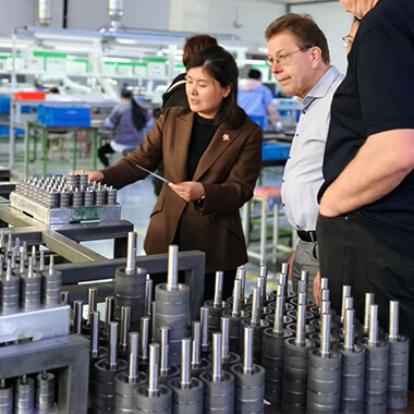 OEM dod&aacute;vateľ krokov&yacute;ch motorov