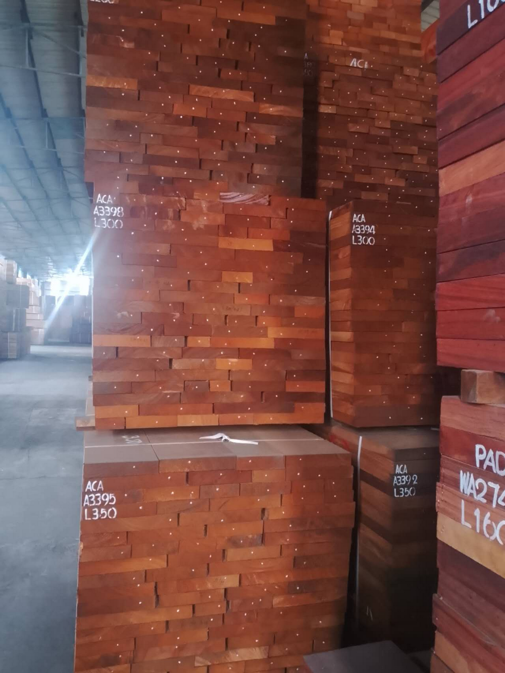 Африканский Акажу (3)