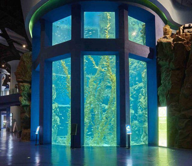 I-Acrylic Aquarium-LEYU
