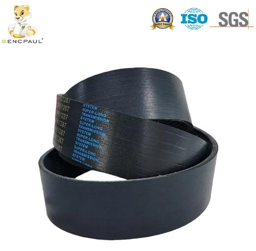 12PK610 Ceinture serpentine.jpg