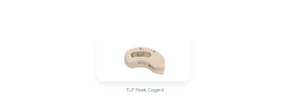 Souvisej&iacute;c&iacute; p&aacute;teřn&iacute; implant&aacute;ty: TLIF Peek Cage-II
