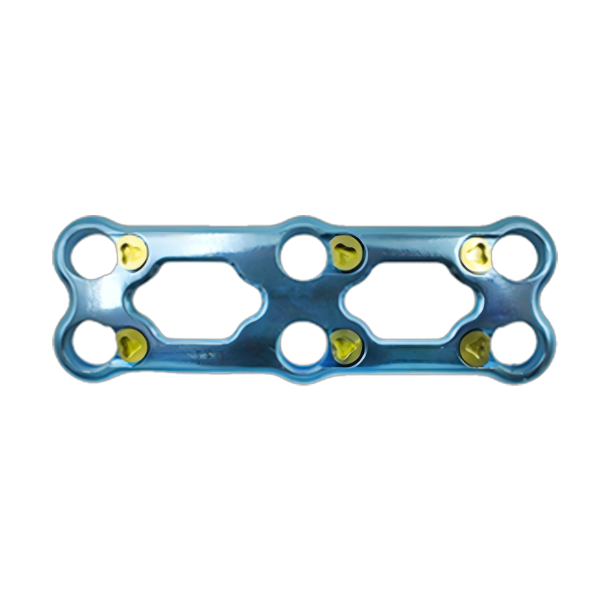 Sistema de fijaci&oacute;n de placa cervical anterior nisqa