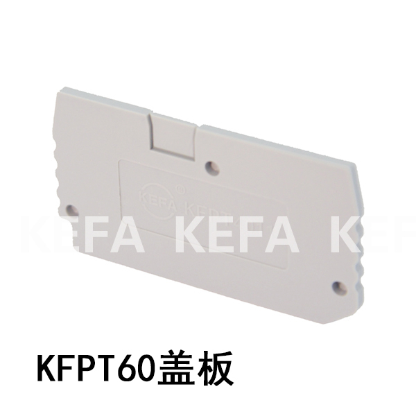 KFPT60 End Cover Distribution Block